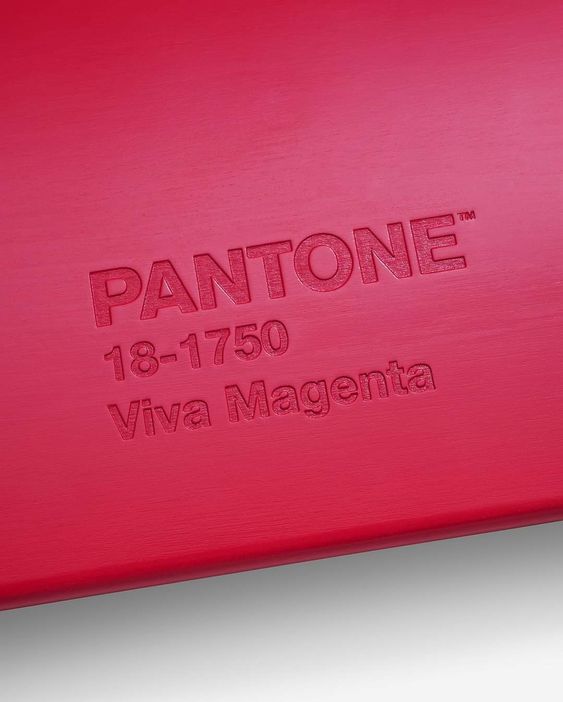 Pantone Viva Magenta Flower Pack - Wholesale - Blooms By The Box